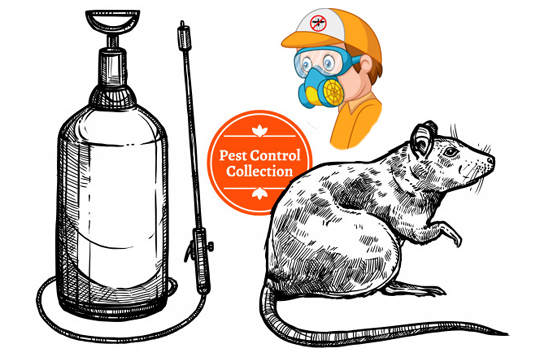 Bed Bugs Treatment Service Providers